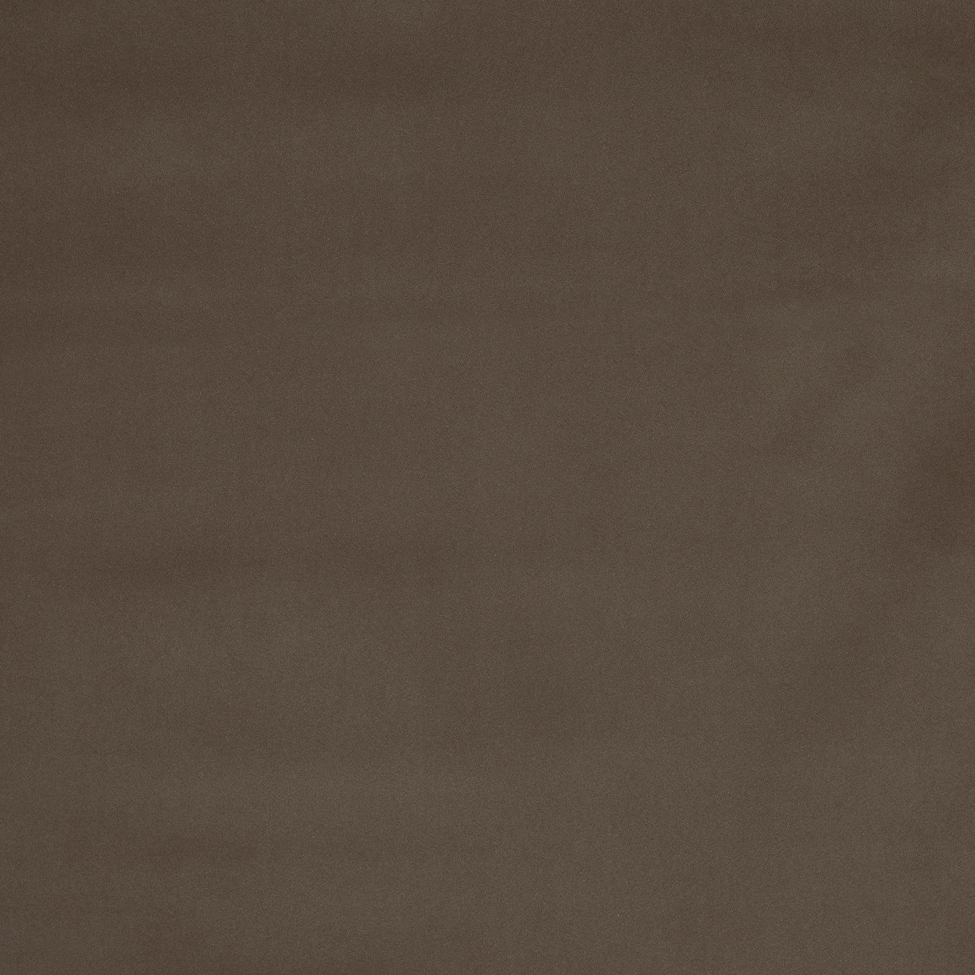 Prestigious Textiles Hadwin Latte