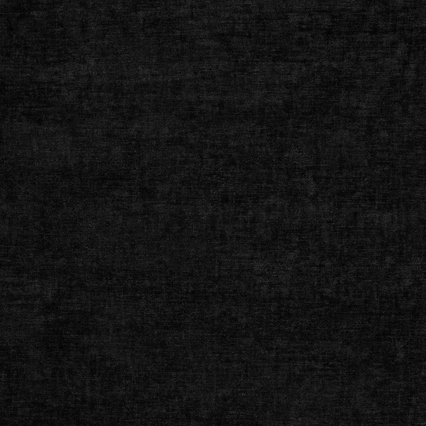 Prestigious Textiles Newgate Raven