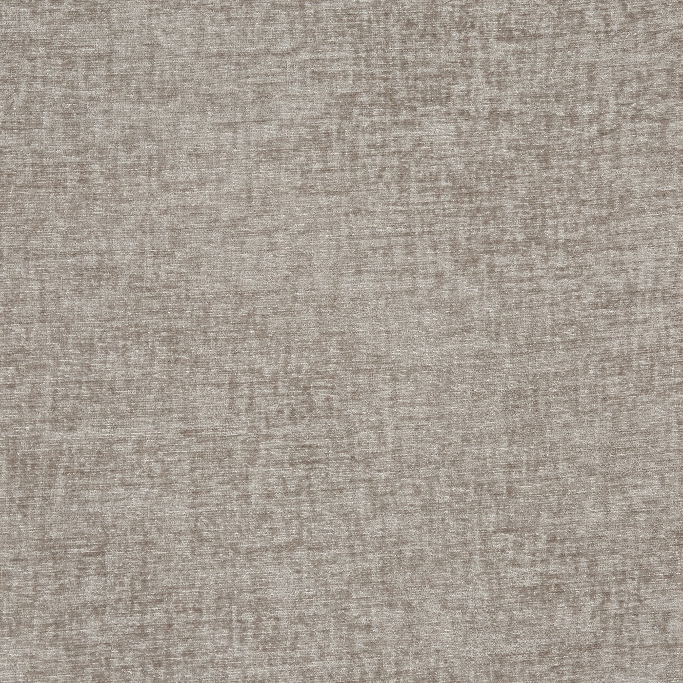 Prestigious Textiles Newgate Feather