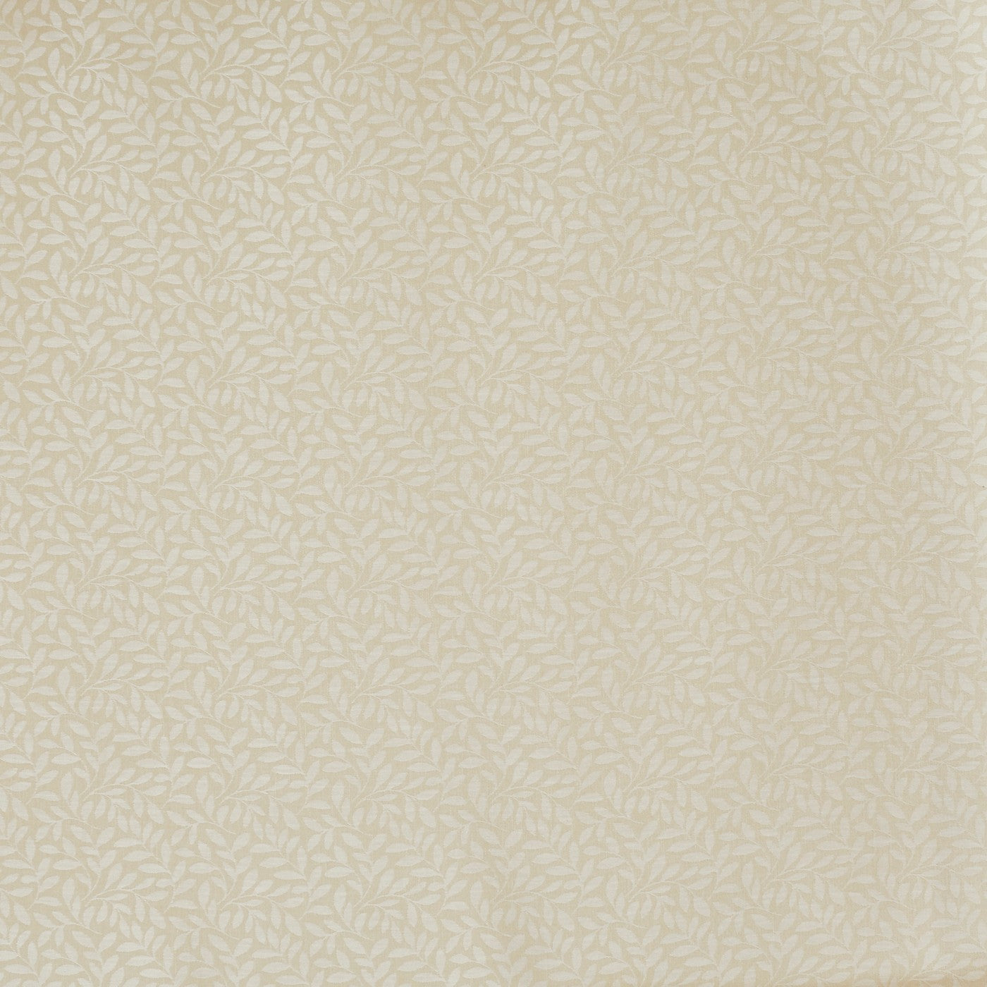 Prestigious Textiles Sapling Pampas