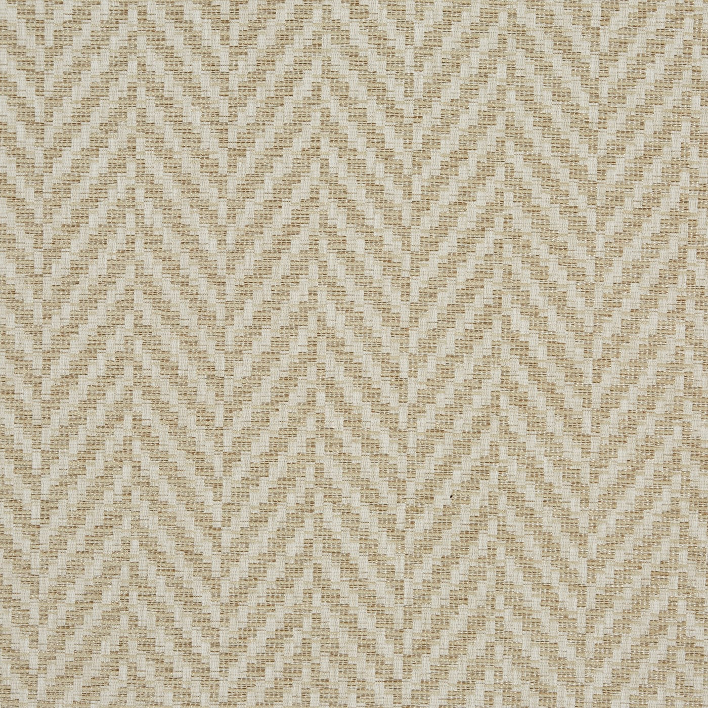 Prestigious Textiles Rattan Pampas