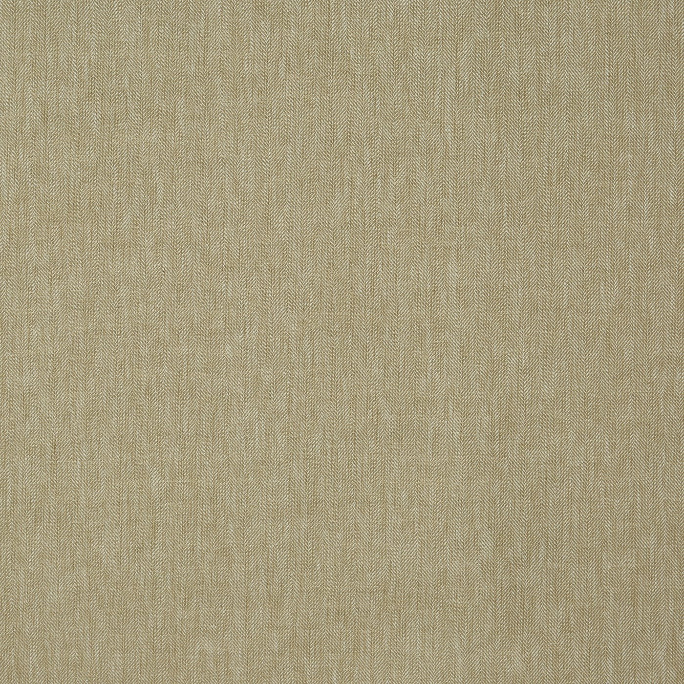 Prestigious Textiles Martha Fennel