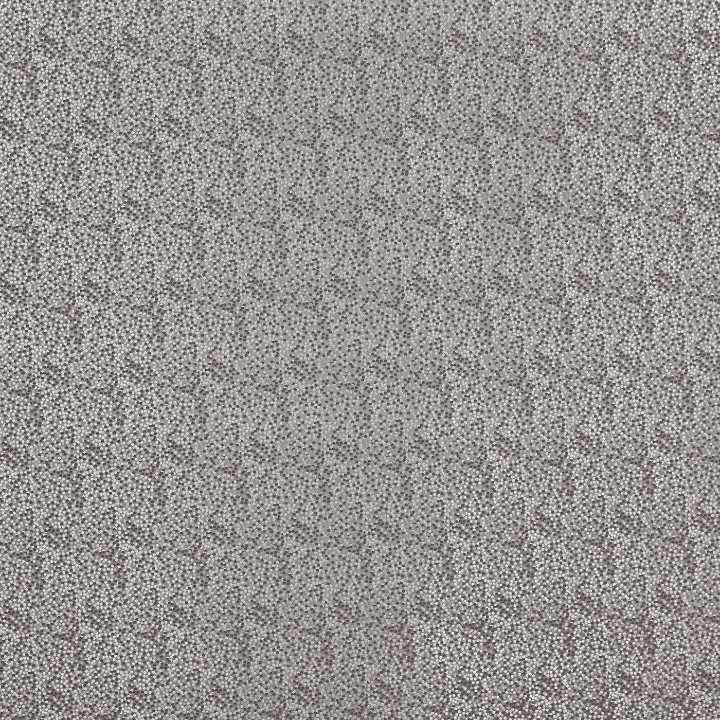 Prestigious Textiles Ozzy Charcoal