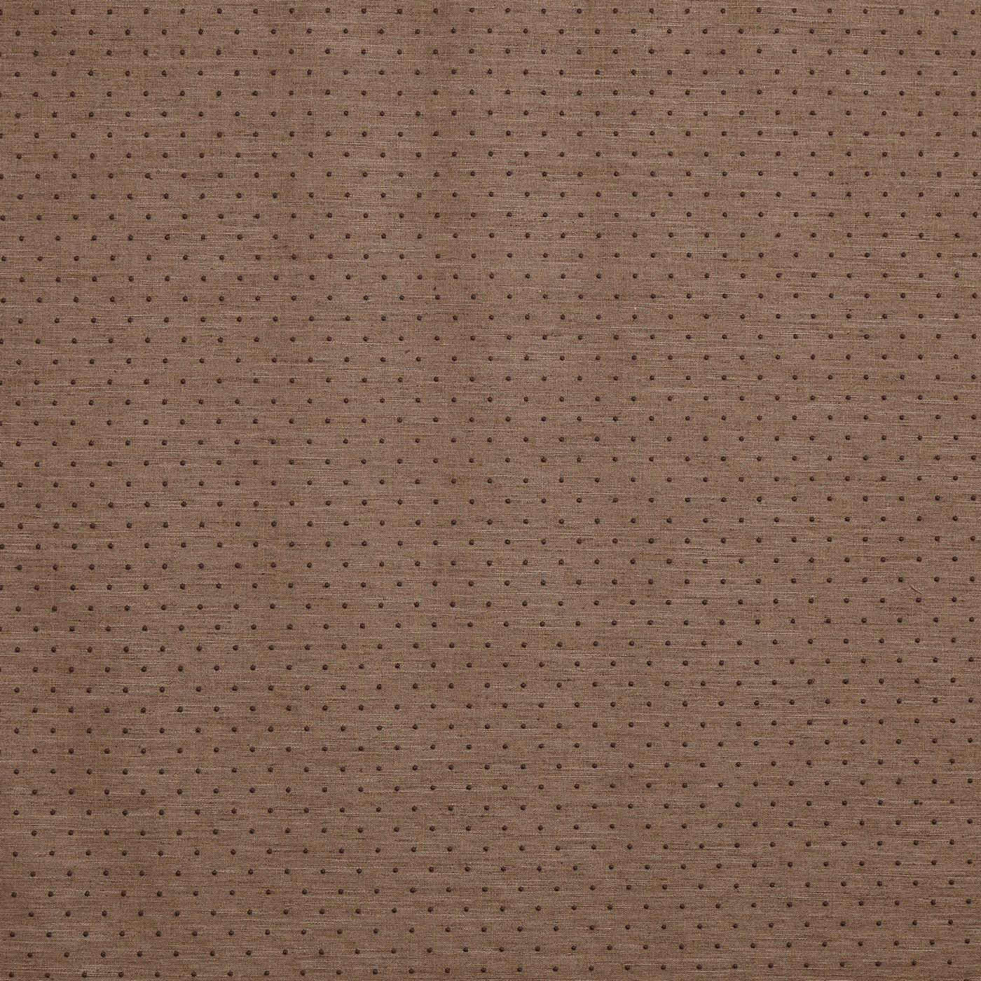 Prestigious Textiles Ava Butterscotch