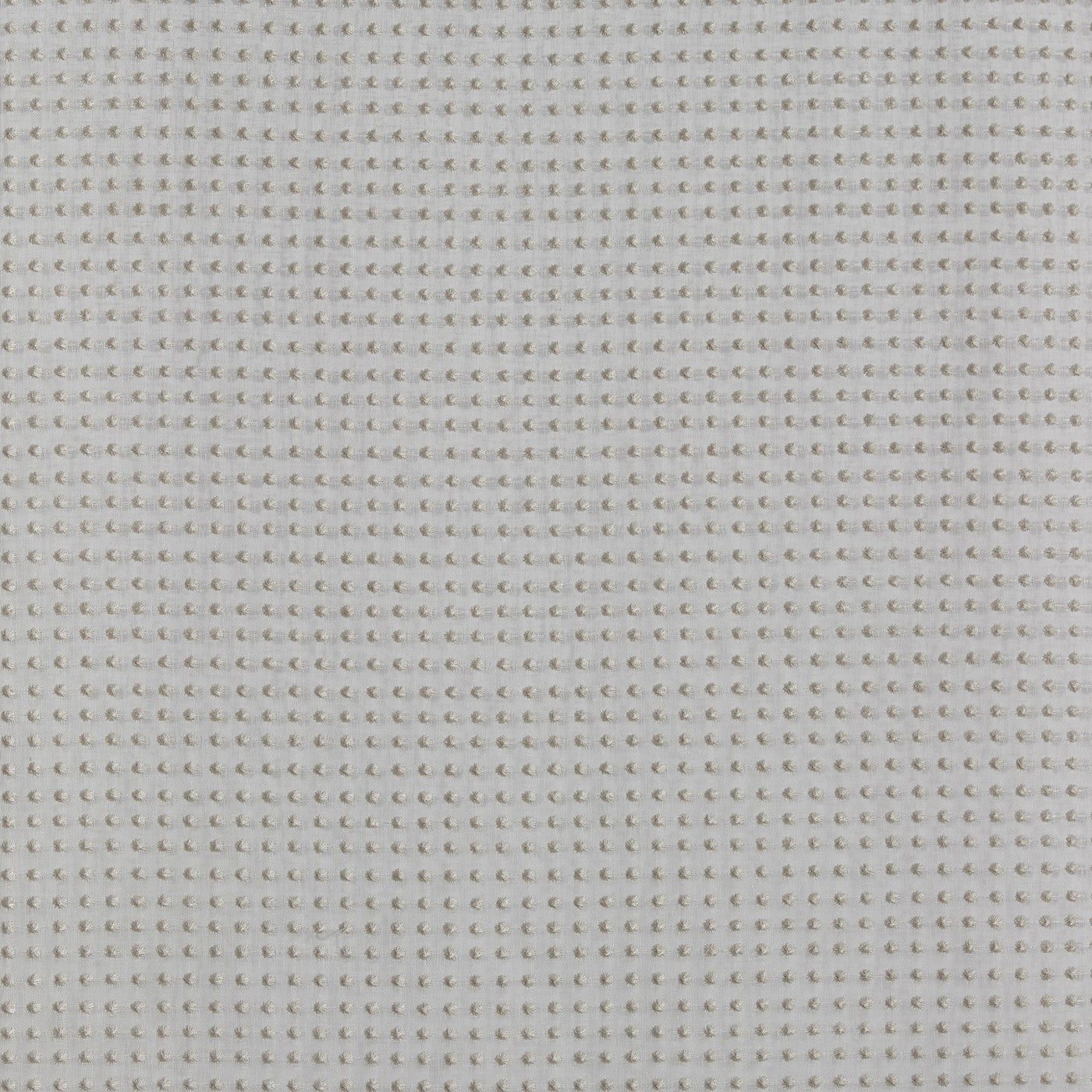 Prestigious Textiles Soto Biscotti
