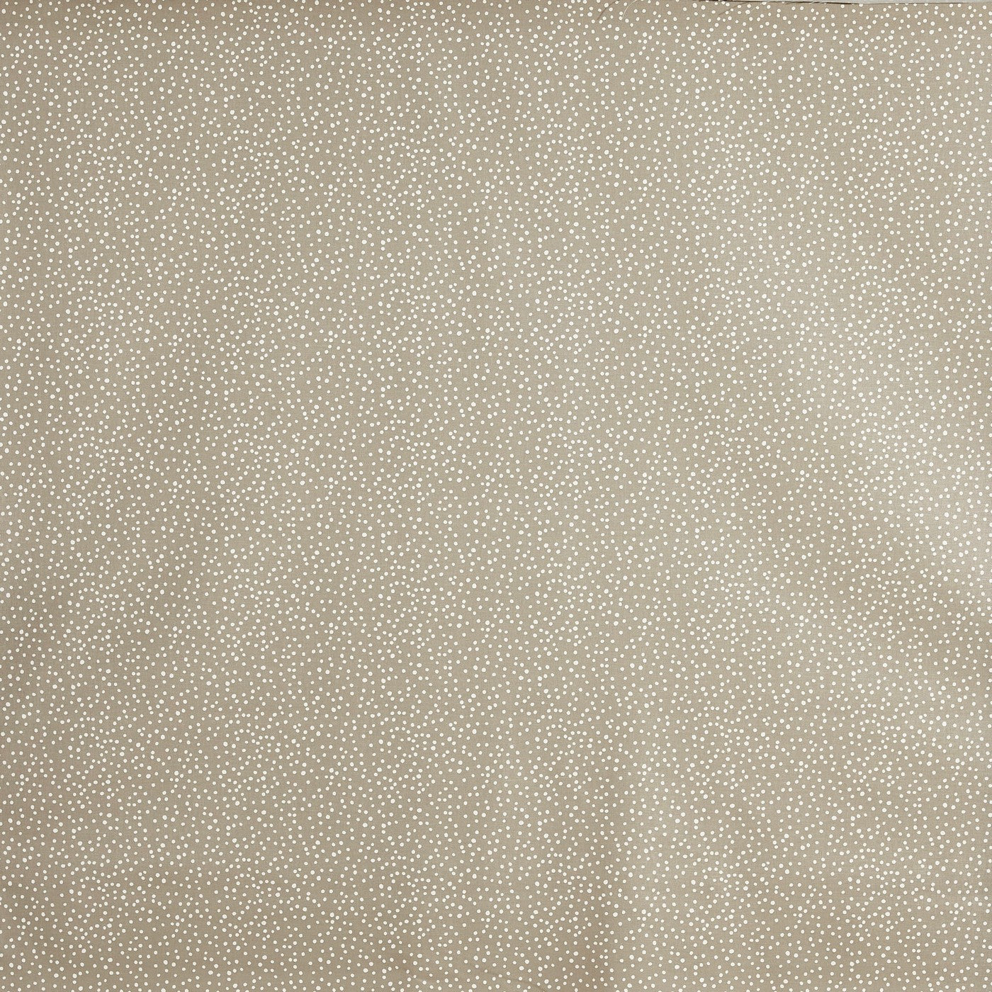 Prestigious Textile Tiny Linen