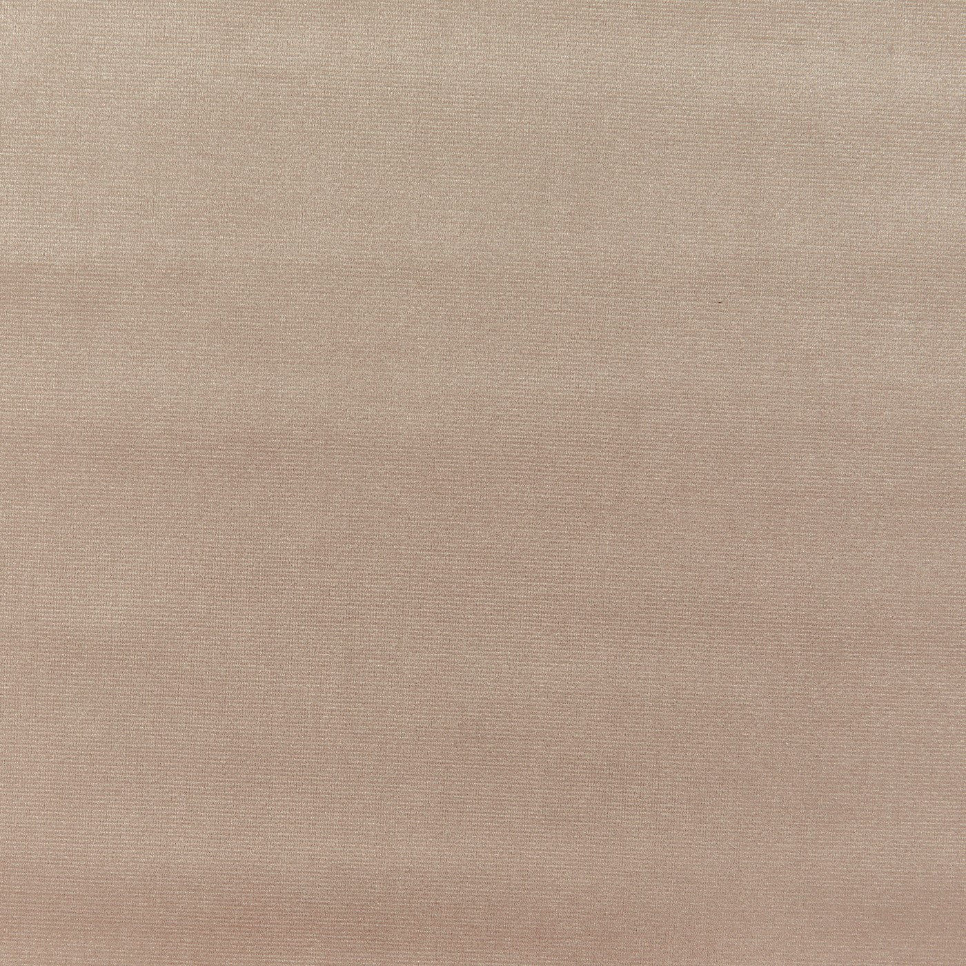 Prestigious Textiles Velour Latte -Eco