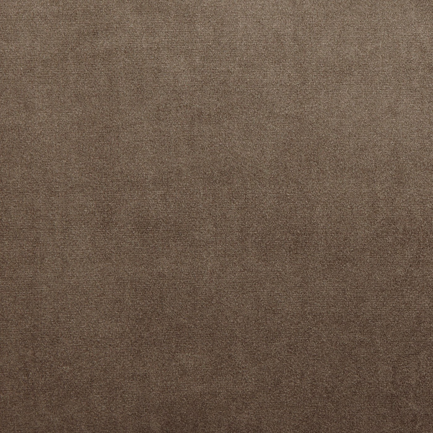 Prestigious Textiles Velour Camel