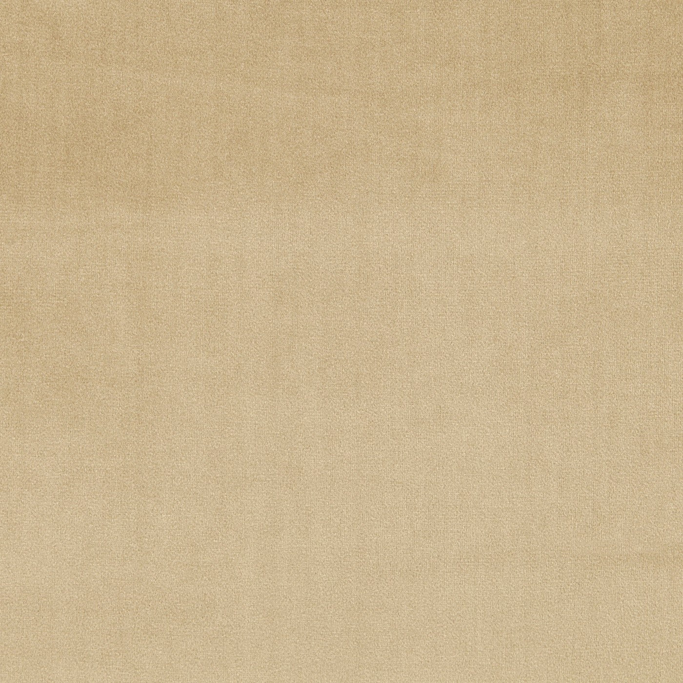Prestigious Textiles Velour Sandstone