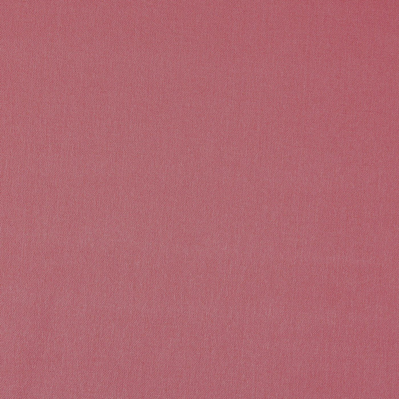 Prestigious Textiles Style Rosebud