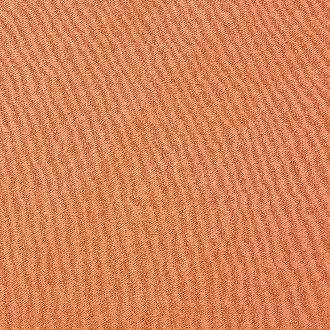 Prestigious Textiles Style Pumpkin