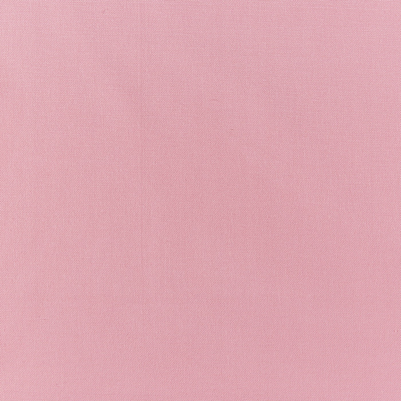 Prestigious Textiles Style Bon Bon