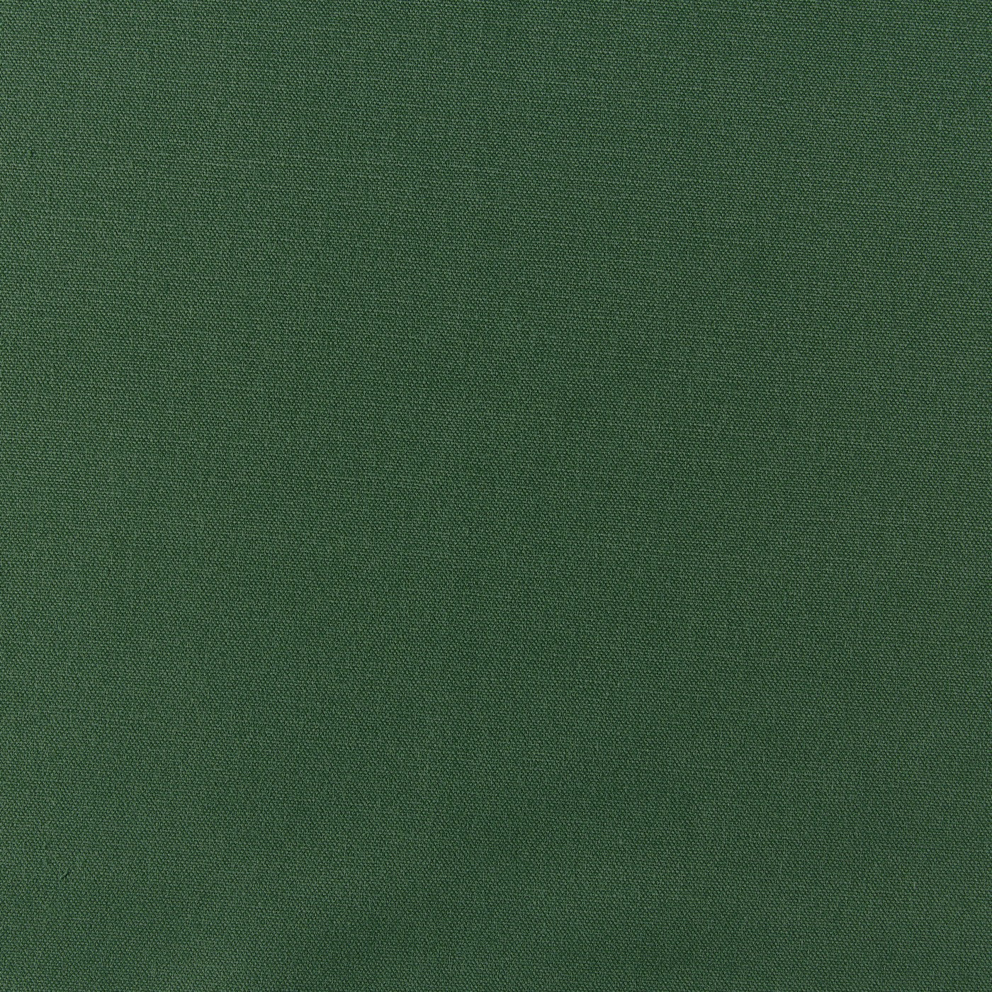 Prestigious Textiles Style Forest