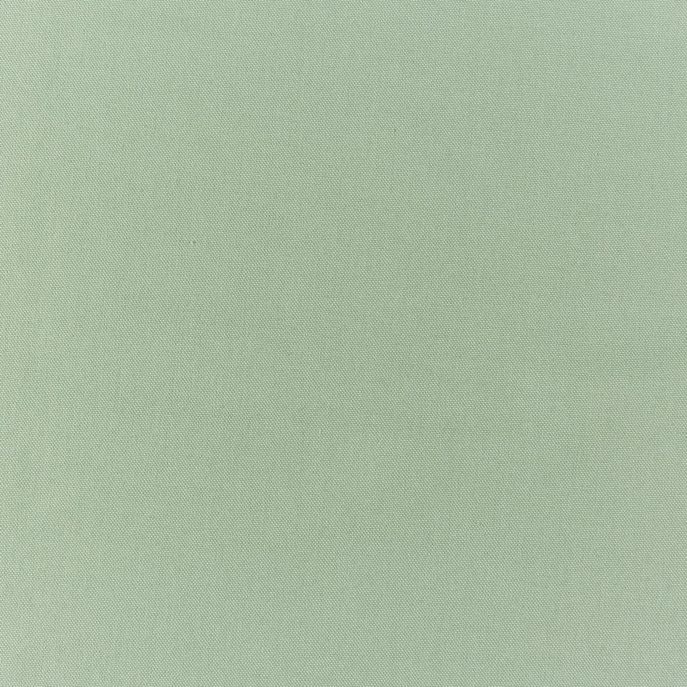 Prestigious Textiles Style Green Tea