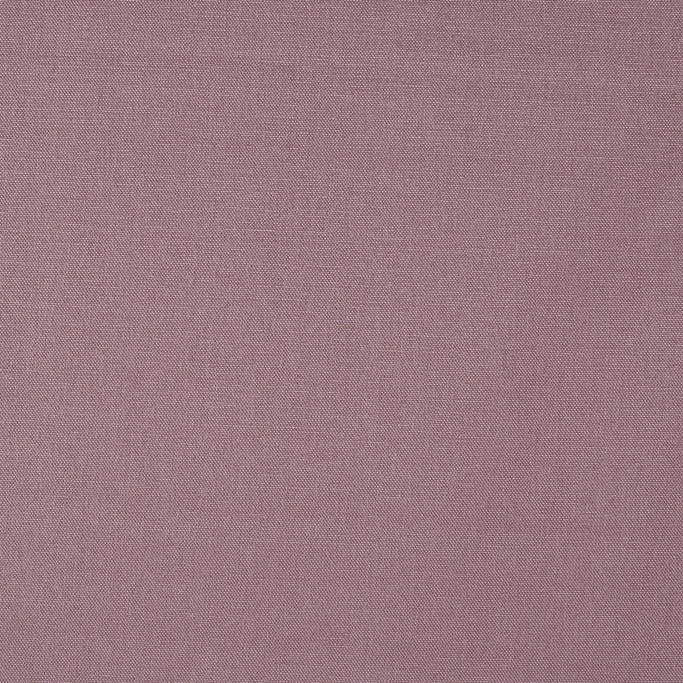 Prestigious Textiles Style Lavender
