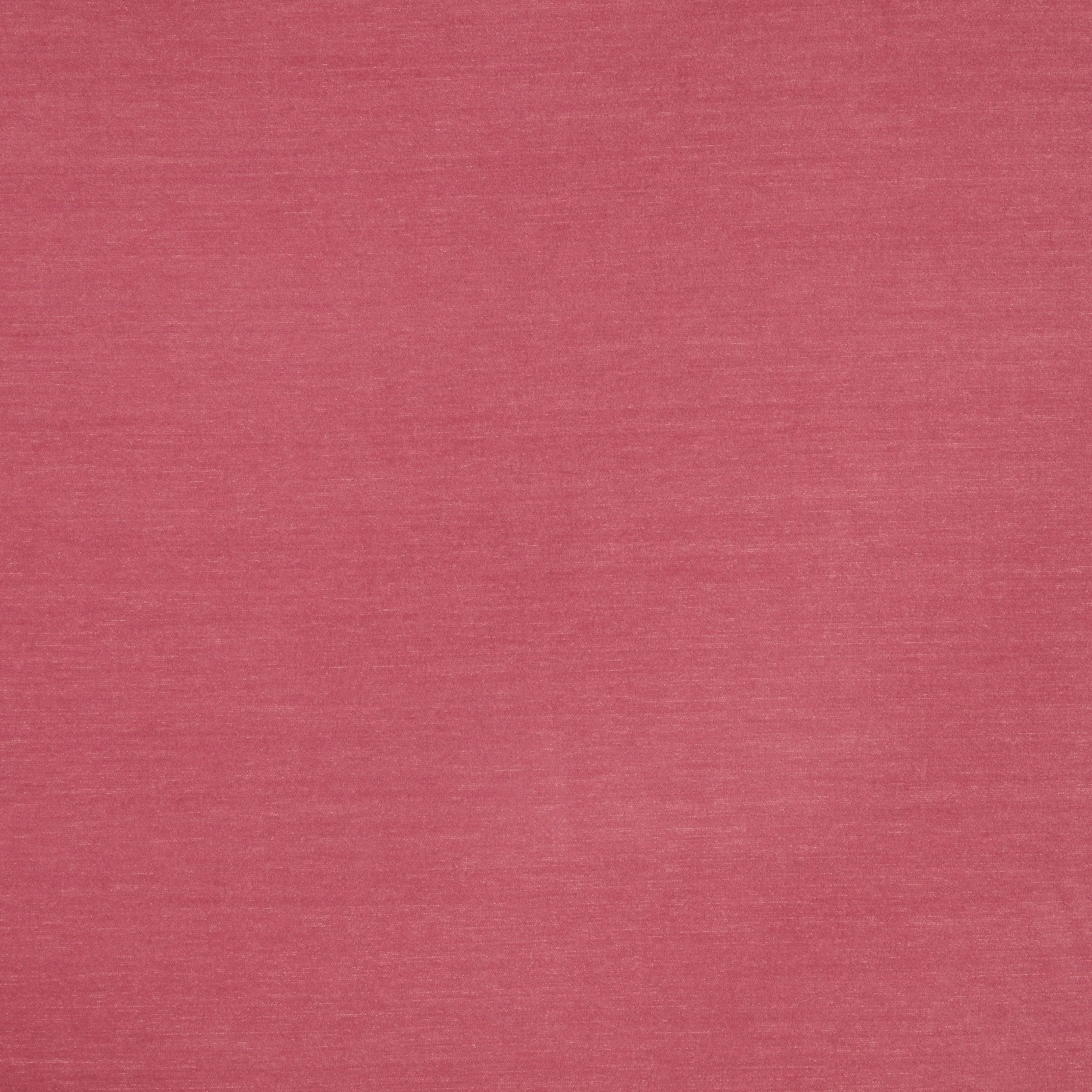 Prestigious Textile Snowdon Rose