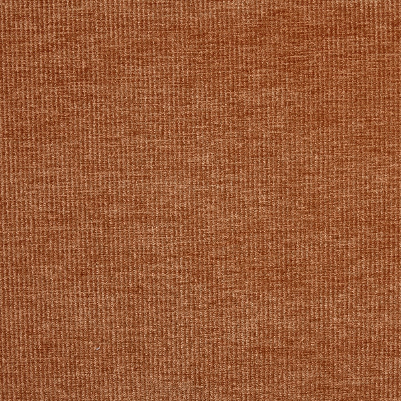 Prestigious Textiles Cord Copper