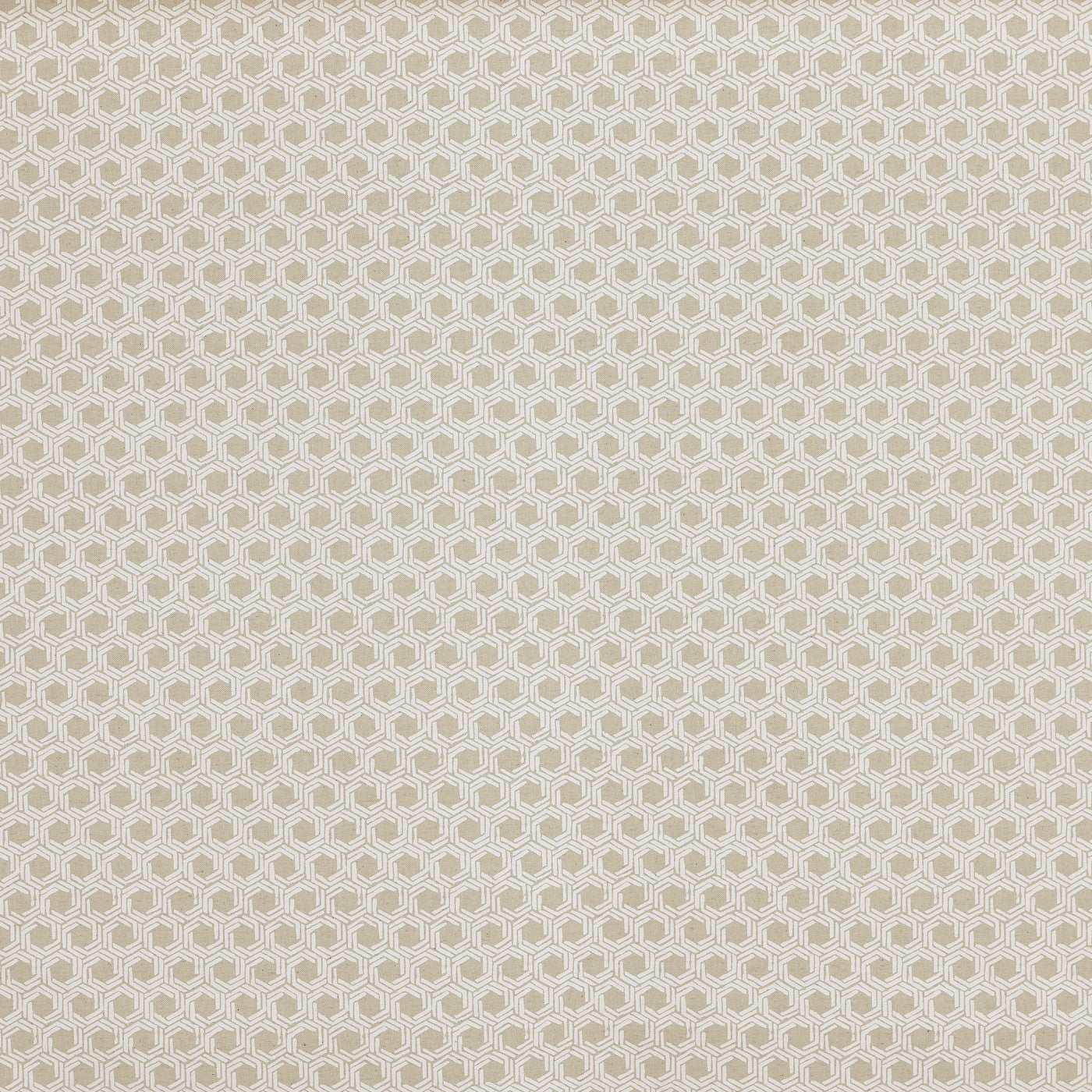 Prestigious Textiles Mary Canvas