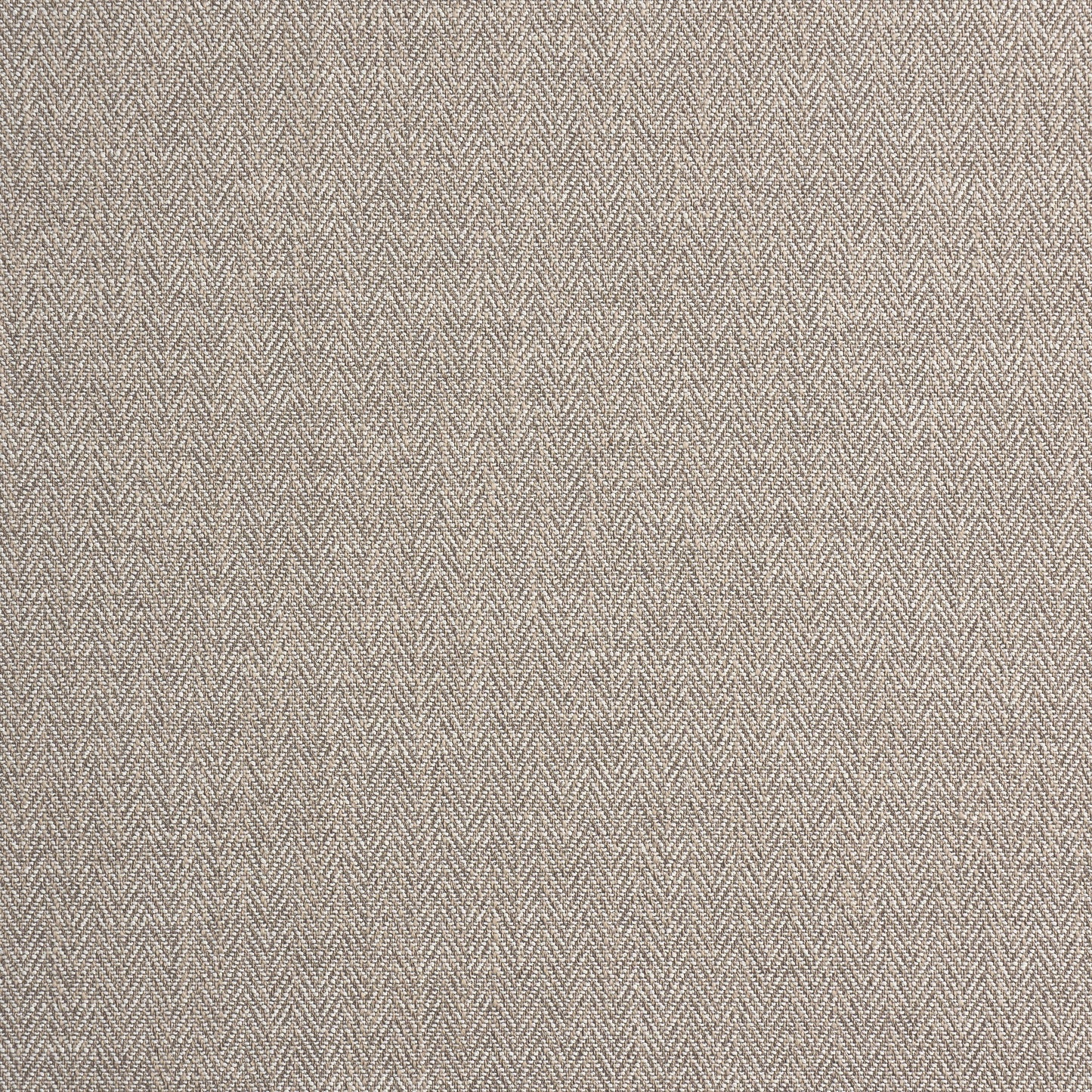 Ashley Wilde Aubrey Jute