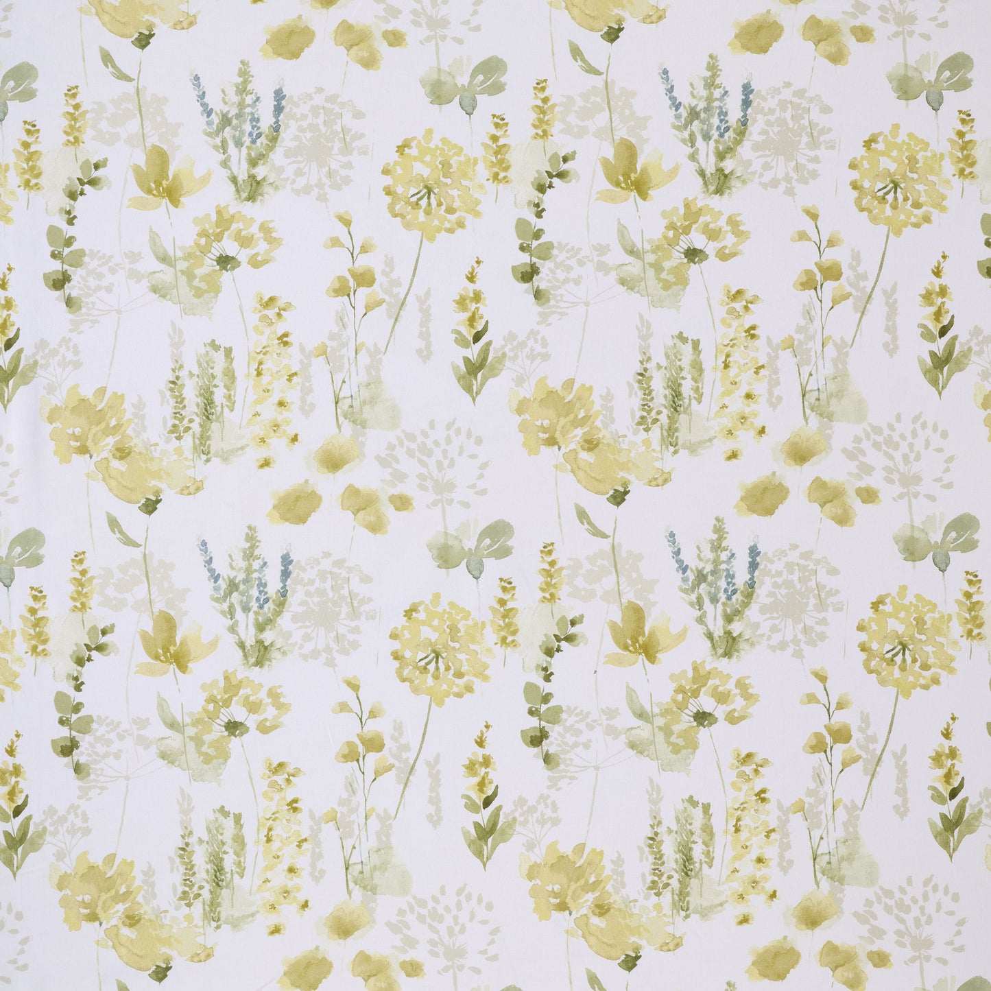 Ashley Wilde Elisa Maize