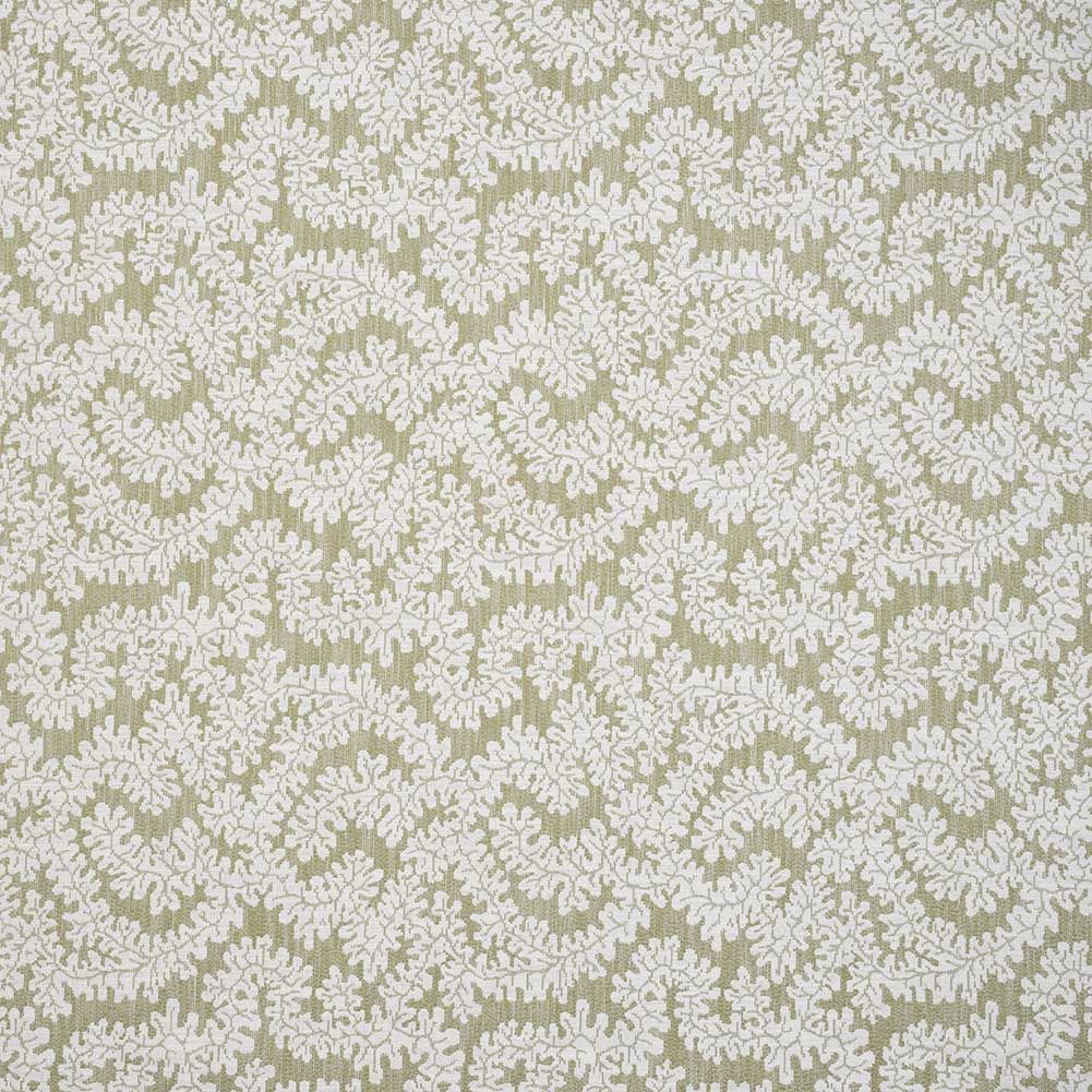 iLiv Rivora Willow