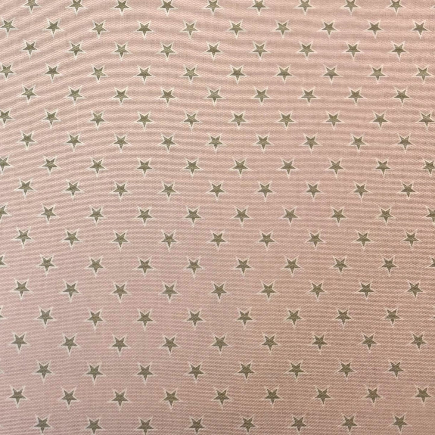 Clarke & Clarke Shooting Stars Pink