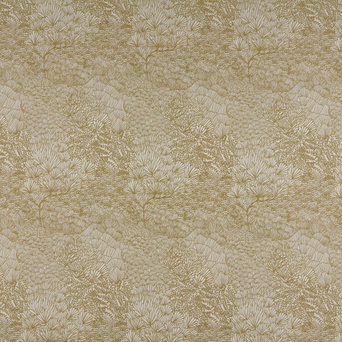 Ashley Wilde Valloni Ochre
