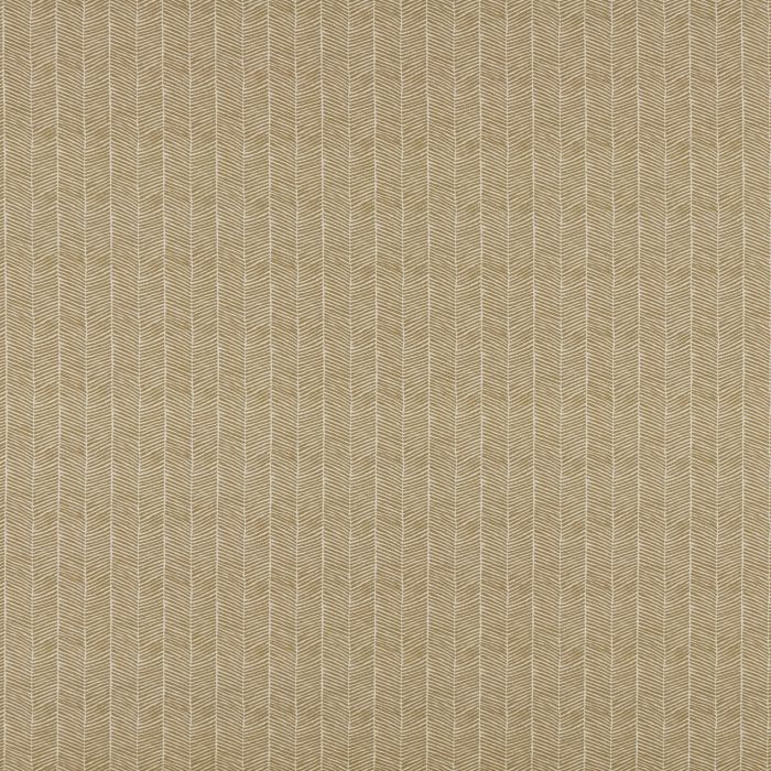 Ashley Wilde Varella Cider