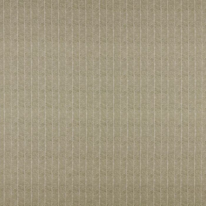 Ashley Wilde Varella Oregano