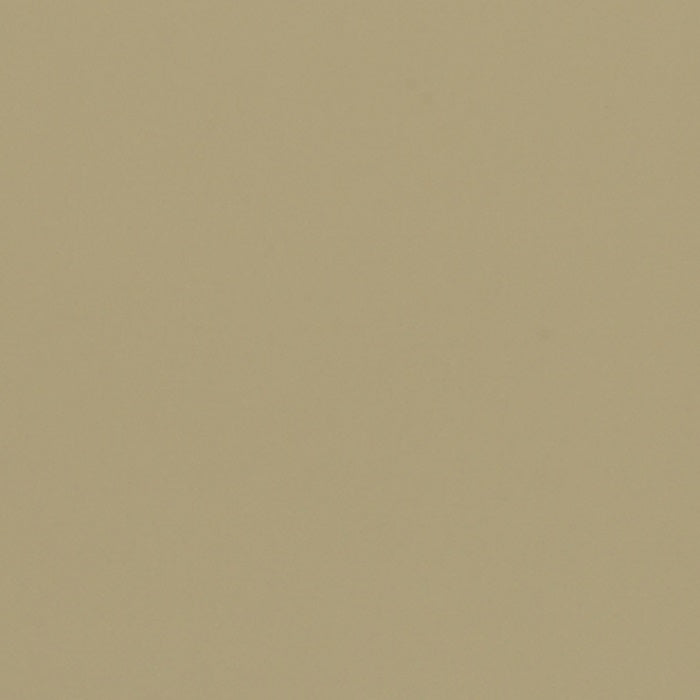 Warwick Zenith Leatherette Raffia