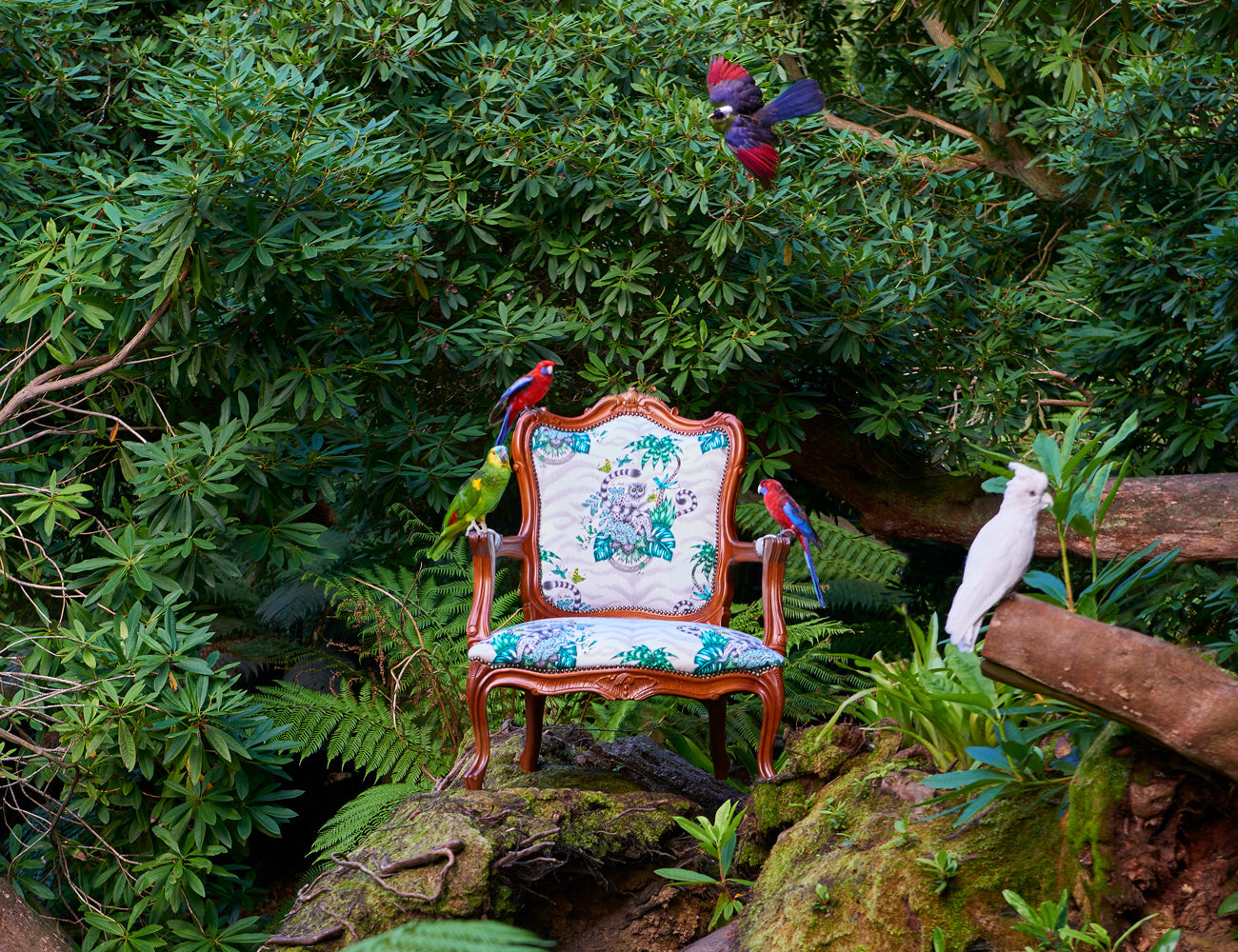 Clarke and Clarke Emma J Shipley Lemur Jungle