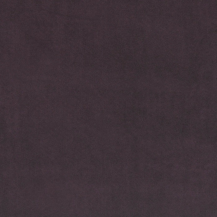 Plush Velvet By Warwick Grape