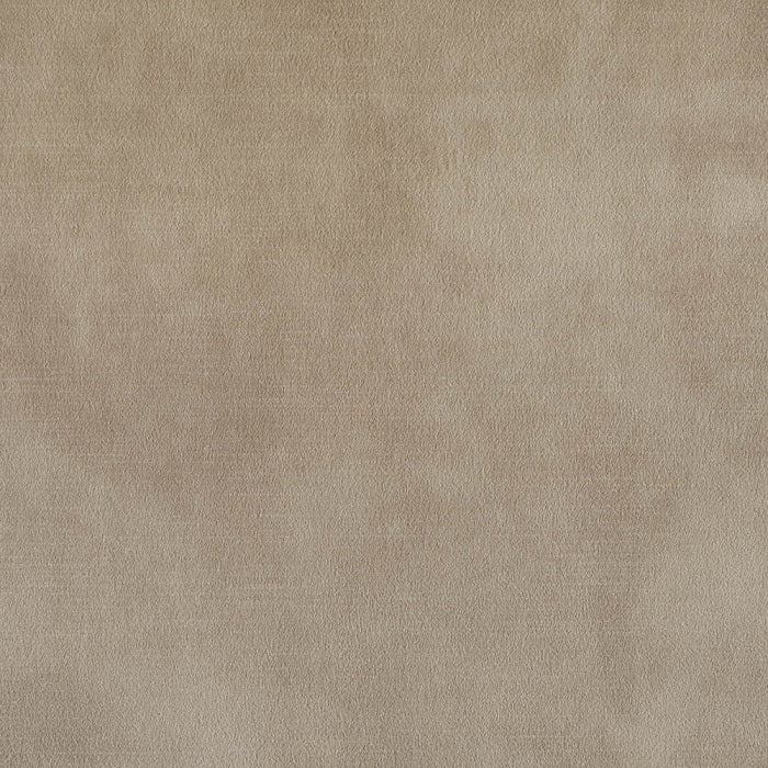 Warwick Lovely Champagne