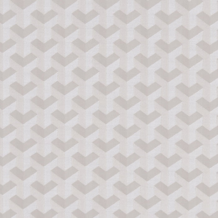 Clarke and Clarke Struttura Champagne