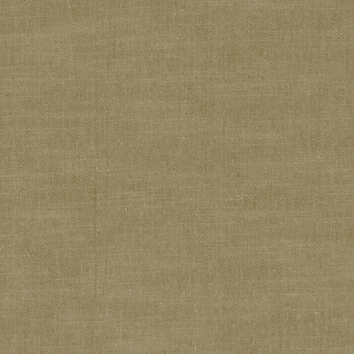 Clarke and Clarke Amalfi Olive