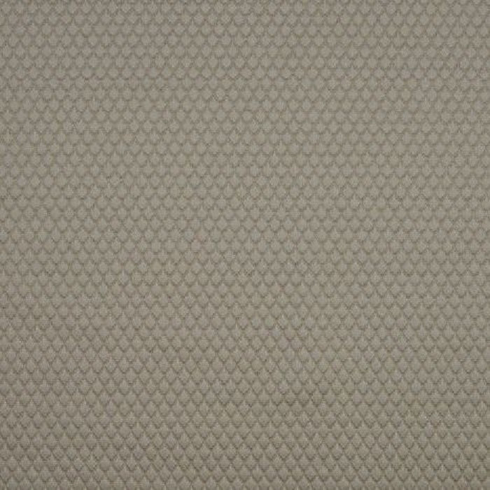 Adriana Taupe By Bill Beaumont