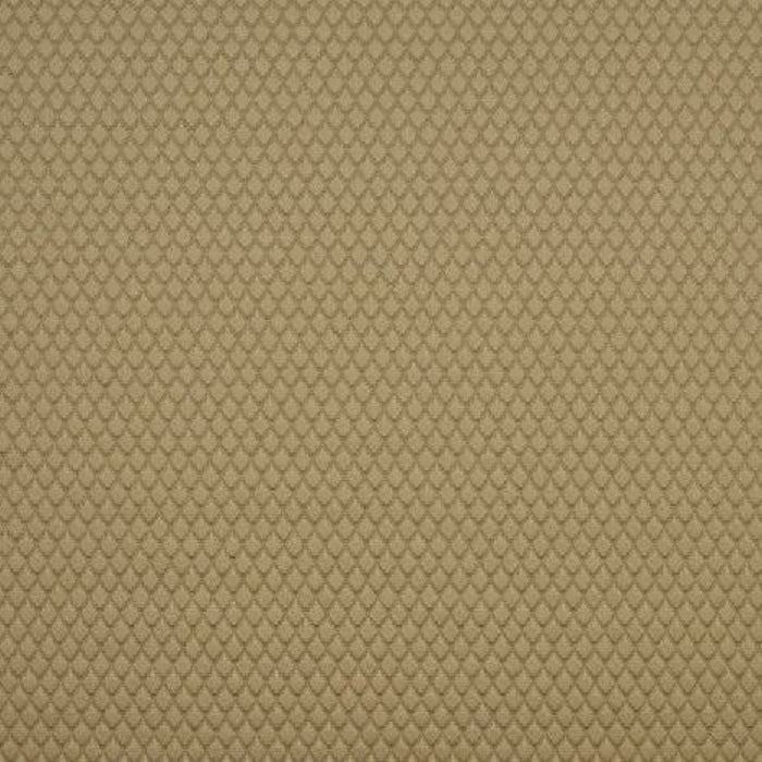 Adriana Caramel By Bill Beaumont