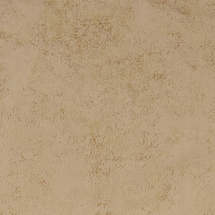 Clarke & Clarke Studio G Nola Taupe