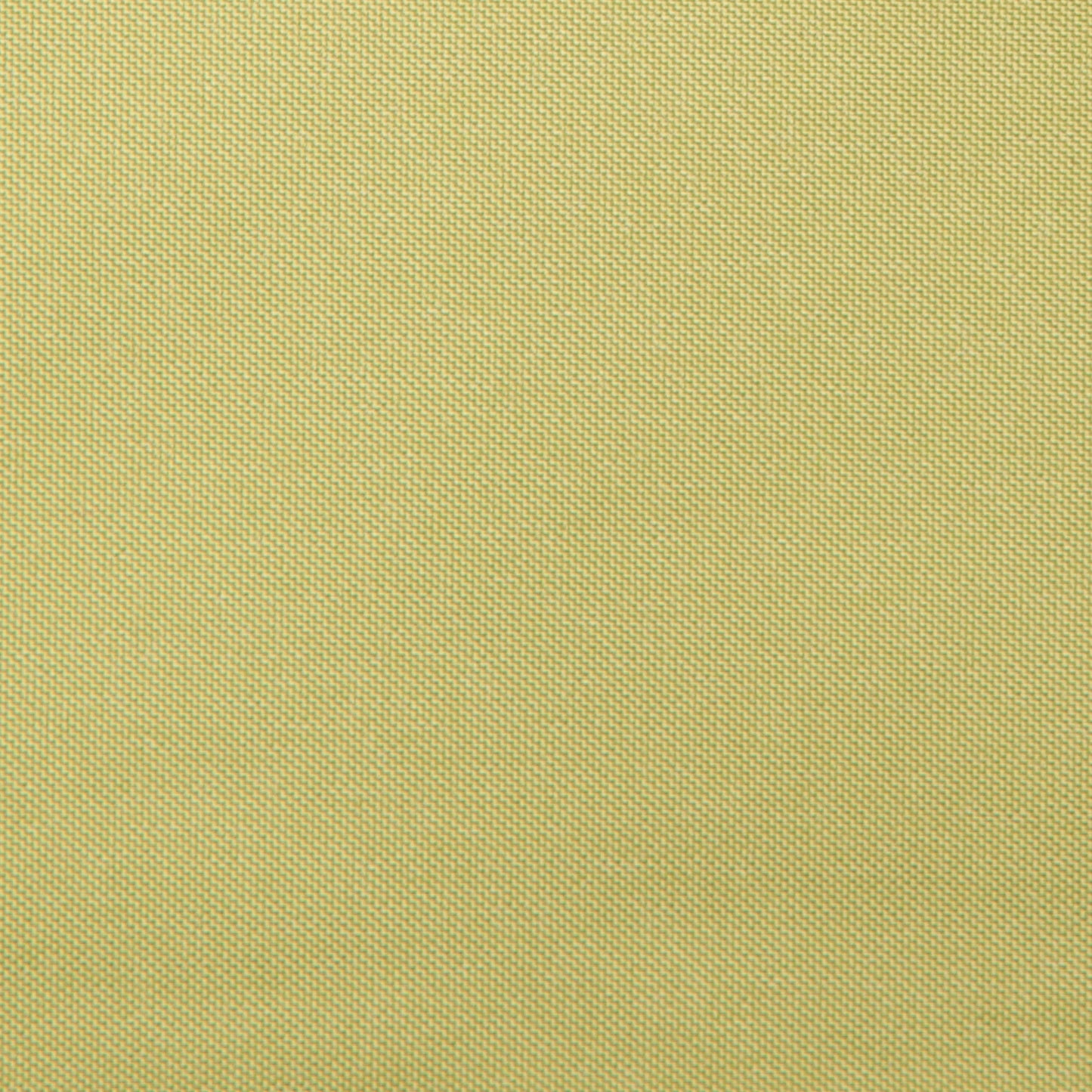 Edmund Bell Zanzibar Aloe 140cm