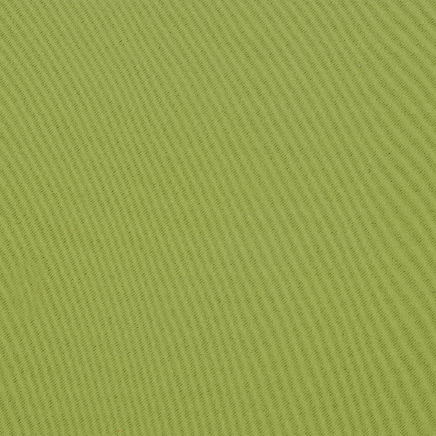 Edmund Bell Venus Apple 150cm