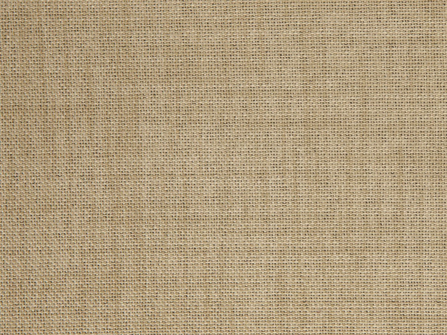 Edmund Bell Enigma Latte 148cm