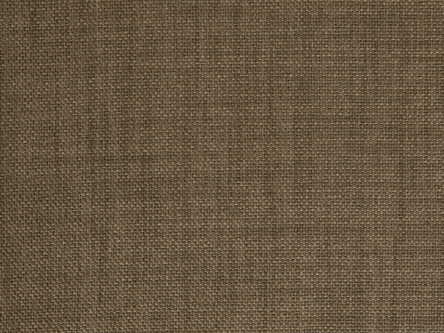 Edmund Bell Enigma Truffle 148cm