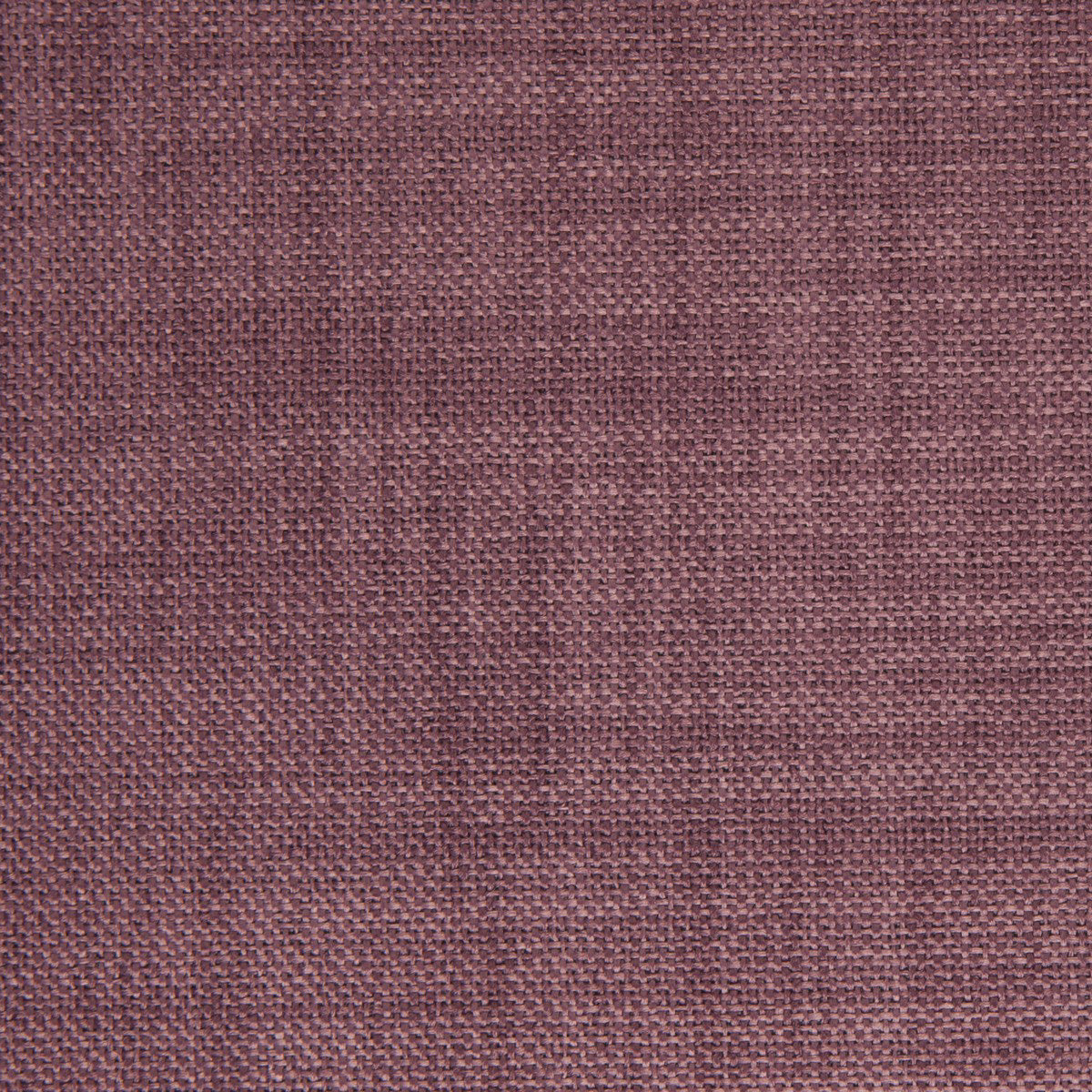 Edmund Bell Enigma Heather 292cm