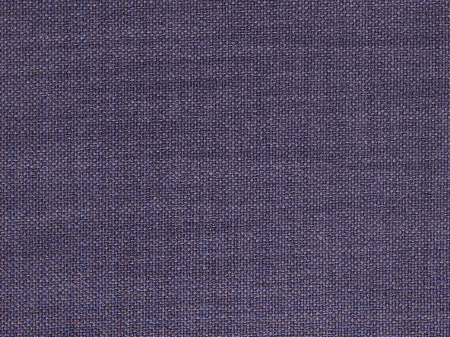 Edmund Bell Enigma Purple 292cm