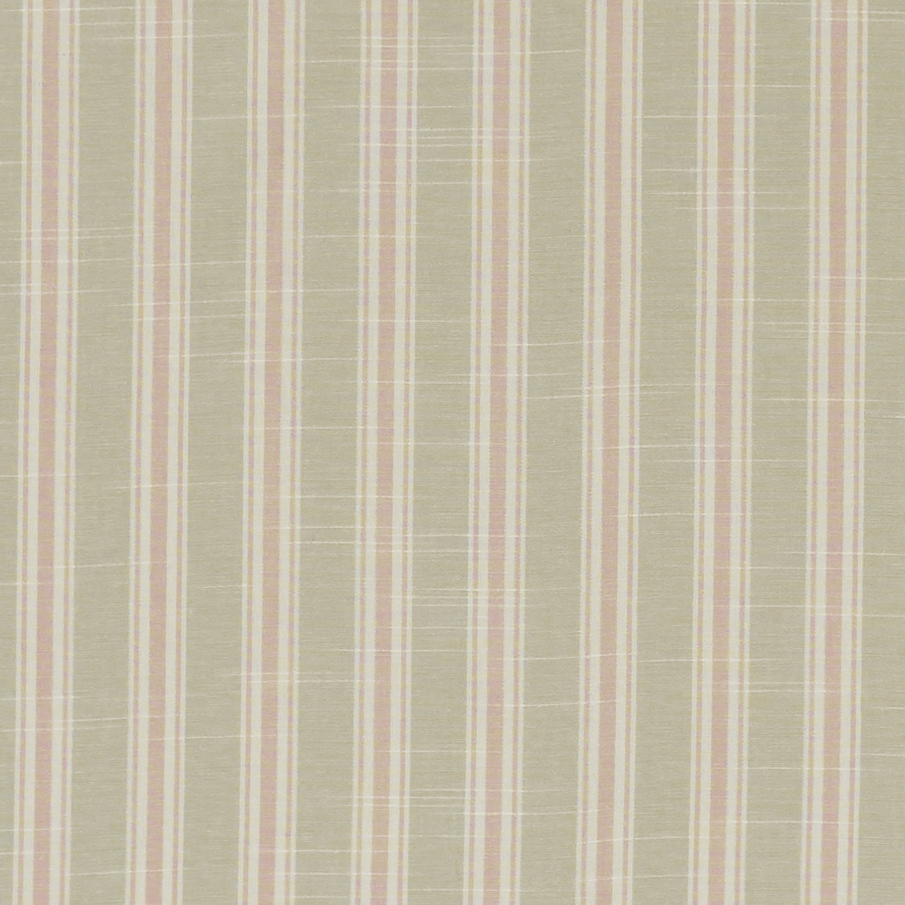 Clarke and Clarke Thornwick Blush