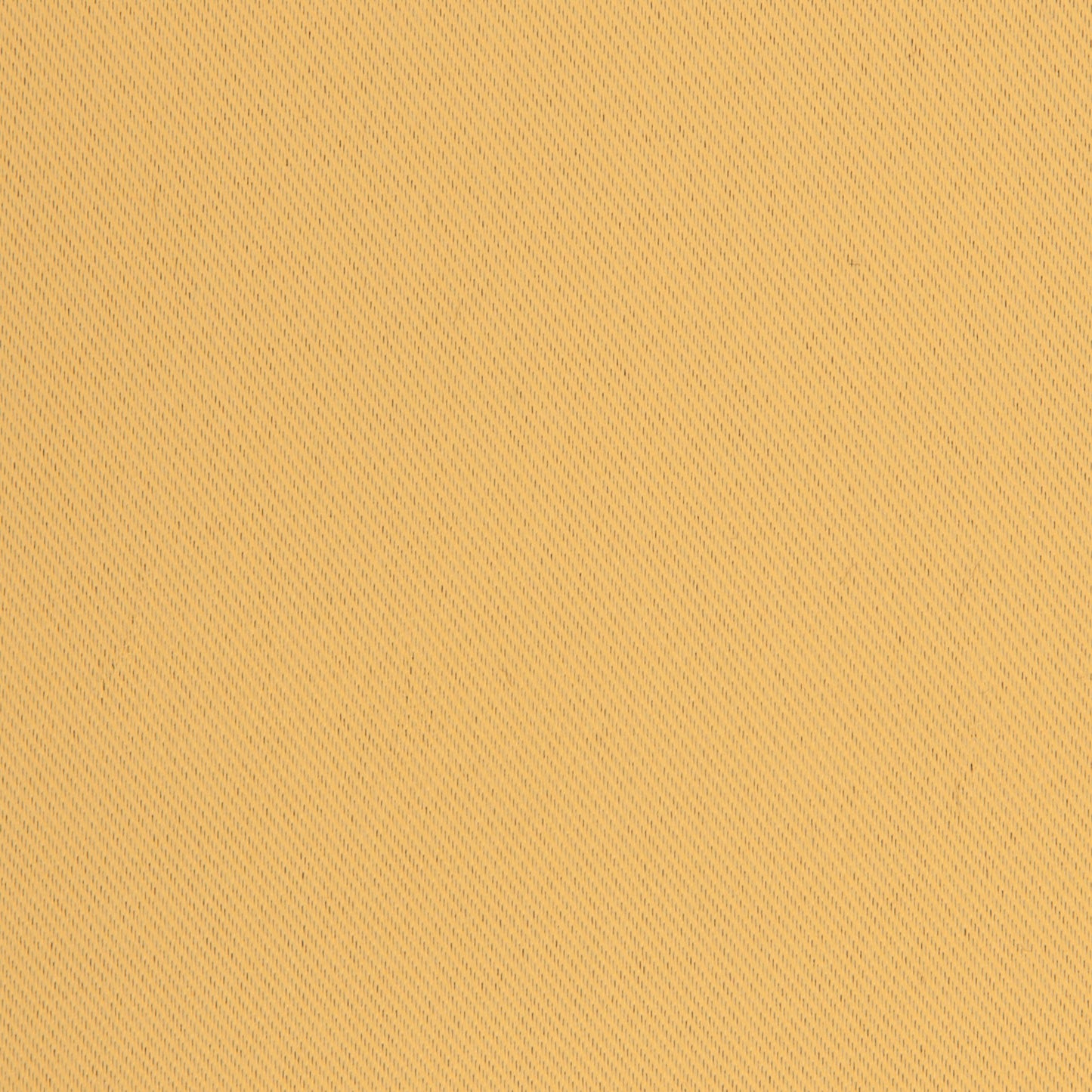 Edmund Bell Venus Gold 150cm