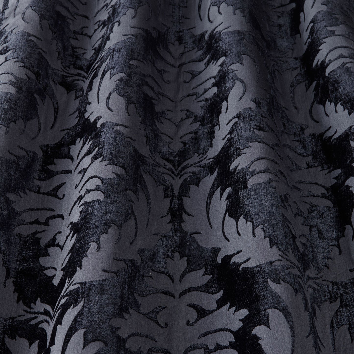 Iliv Isadore Saphire