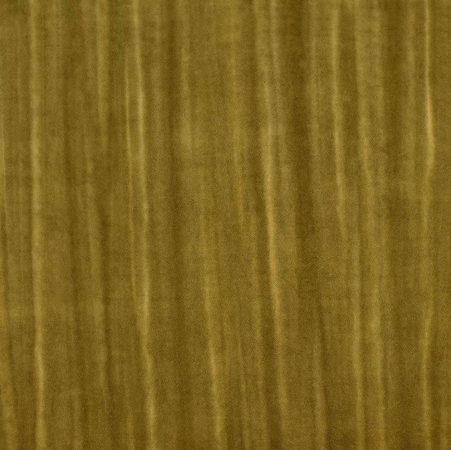 Warwick Glicine Giallo