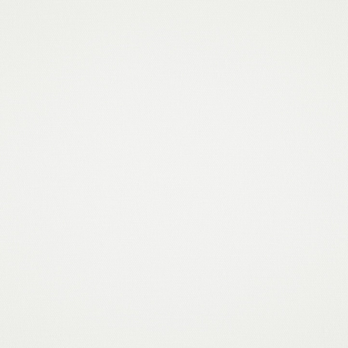 Warwick Splash Optic