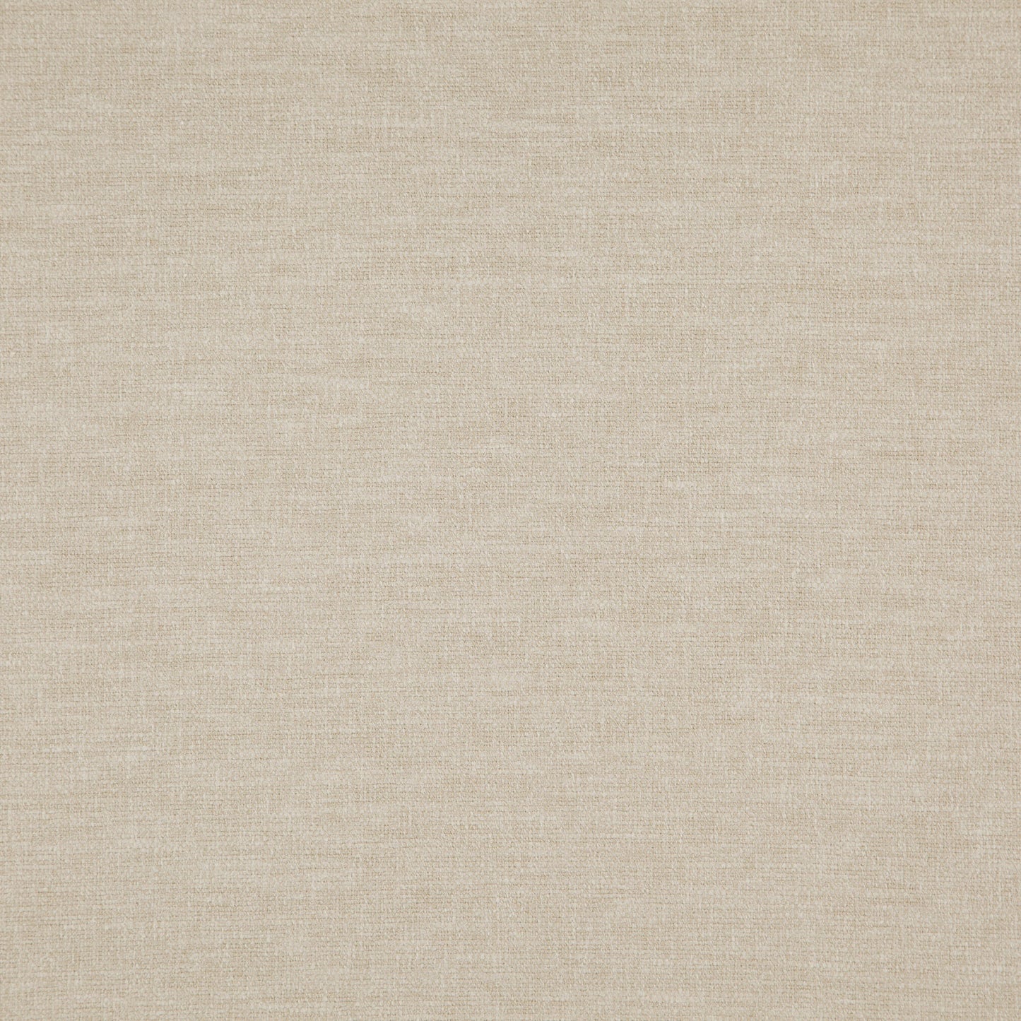 Warwick Splash Papyrus